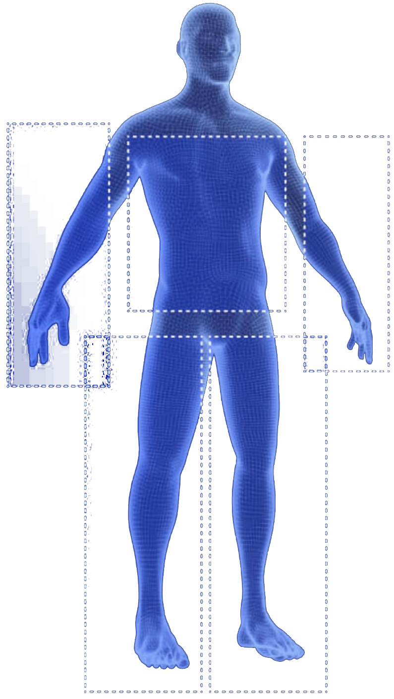AI Body Assessment